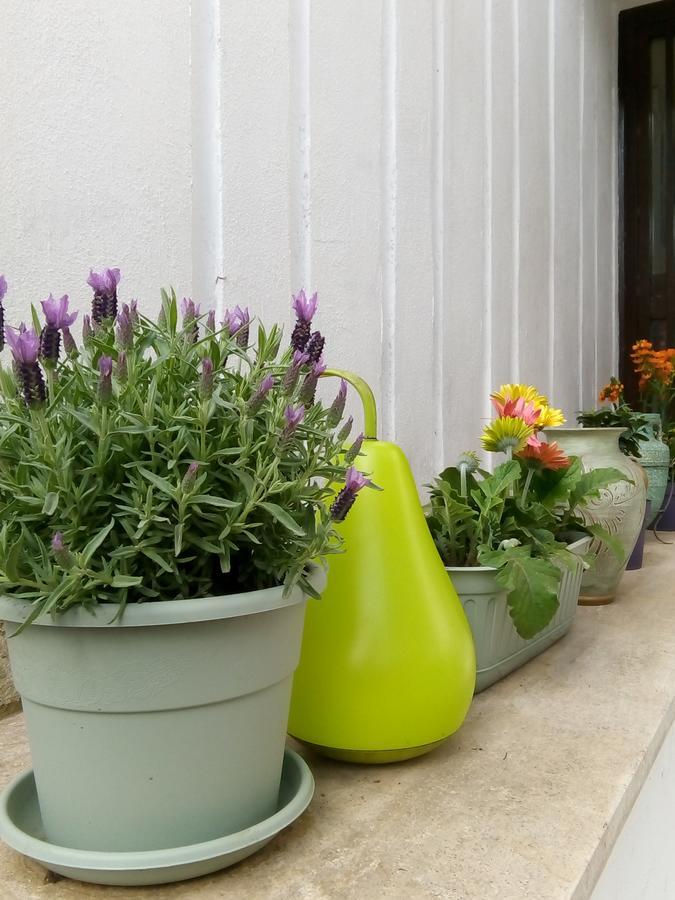 Aquarius Rome Bed & Breakfast Екстериор снимка
